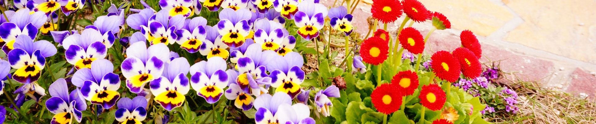 小川左官店 滋賀県草津市 外構工事 左官工事